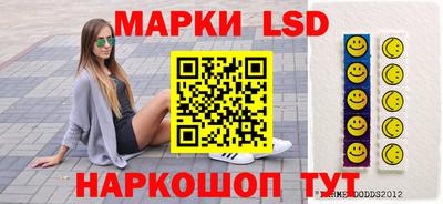 дмт Кингисепп