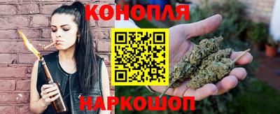 дмт Кингисепп