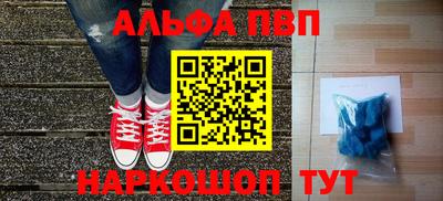 дмт Кингисепп